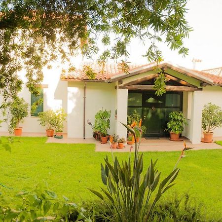 אולביה Villa Aurora מראה חיצוני תמונה