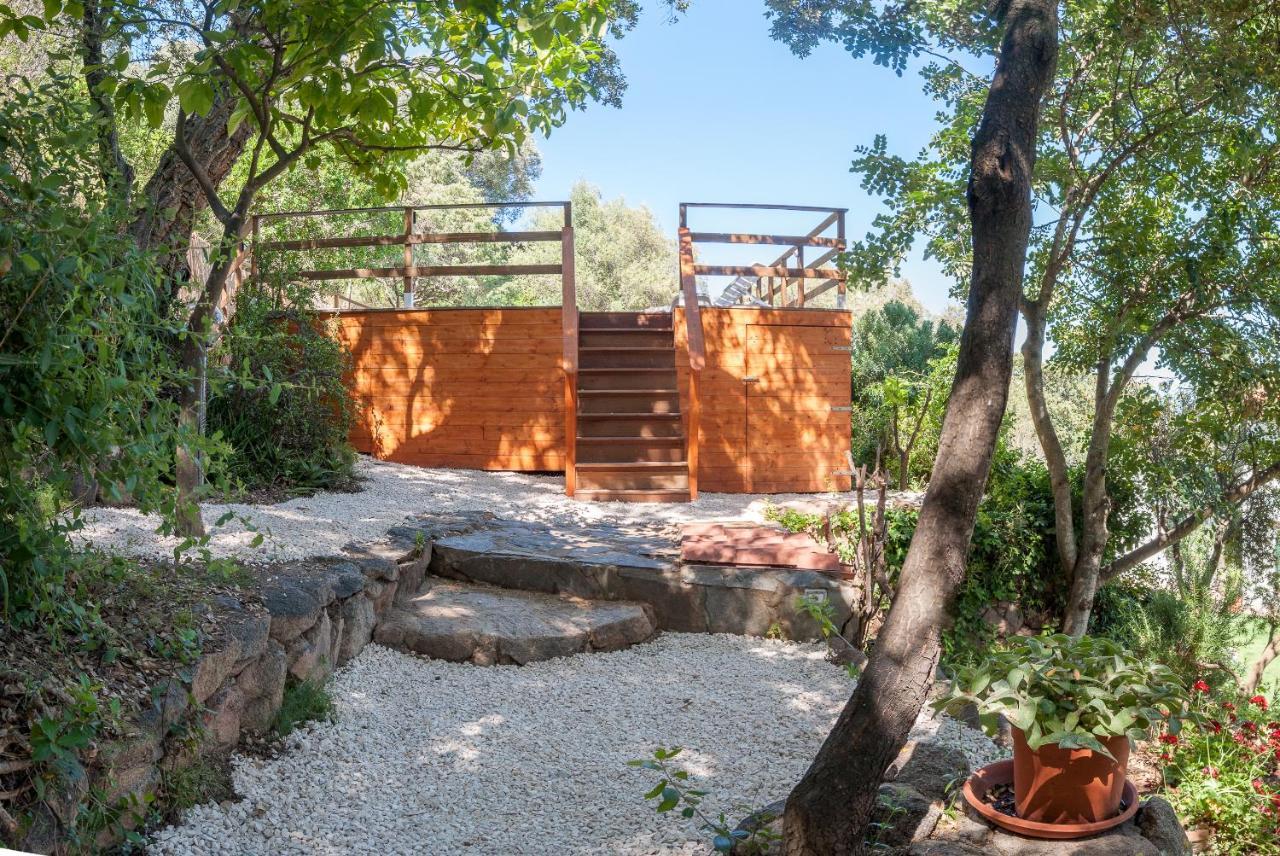 אולביה Villa Aurora מראה חיצוני תמונה